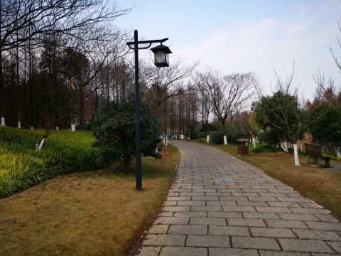湘湖行人走道