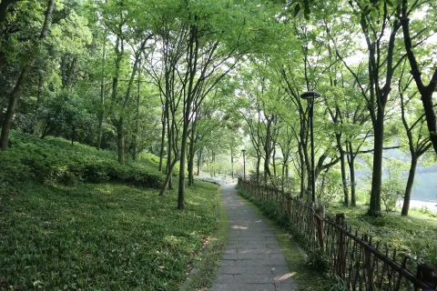 乌龟谭边幽静的石头走道