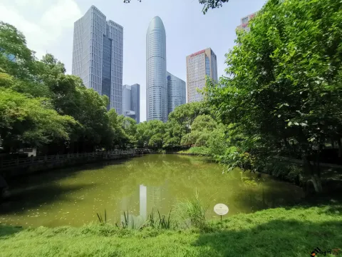 钱江新城森林公园