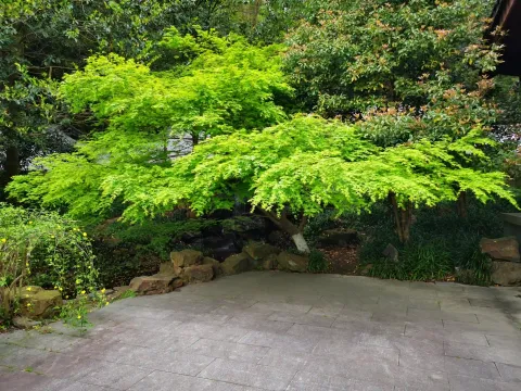 云栖竹径8