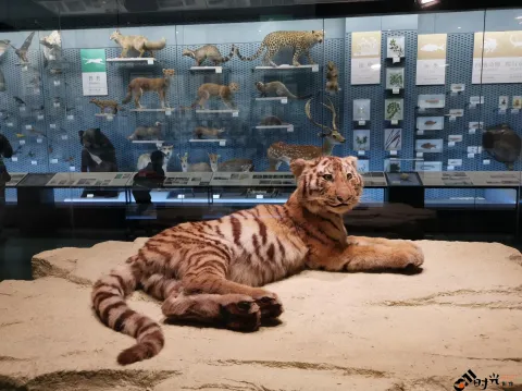 浙江省自然博物馆