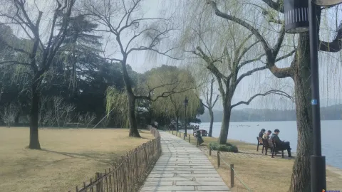 西湖苏堤、花港观鱼的游人