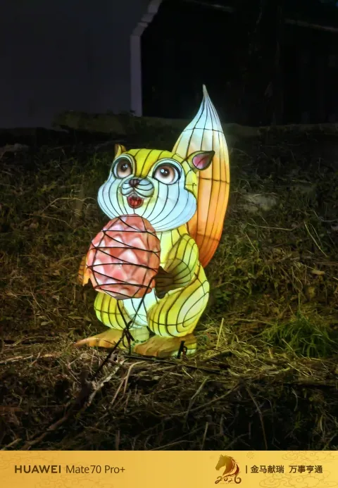 夜色中坐摇橹船赏灯17