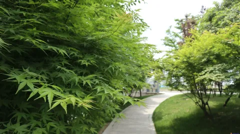 杭州国际博览中心南侧景色