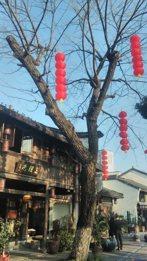大兜路历史文化街区