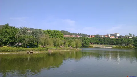 厦门大学校园