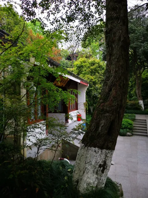 万松书院44