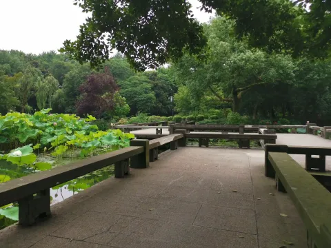 曲院风荷7