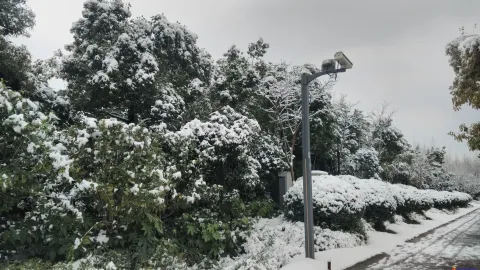 2018年的第一场雪