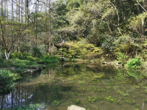 虎跑泉