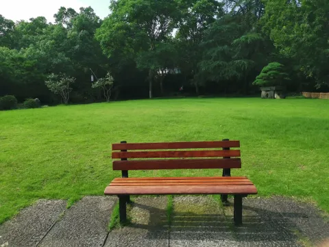 长凳