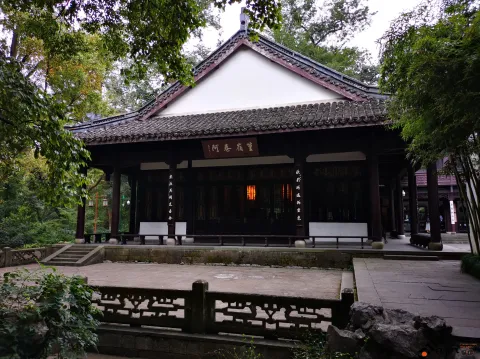 龙井路，龙井问茶，寻龙井古址