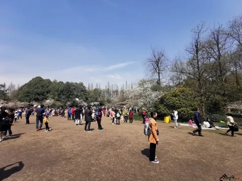 游玩太子湾公园的游人如潮