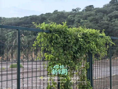 绿意漫栏5