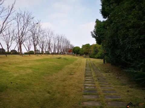 滨江公园一景