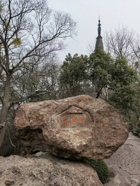 寿星石1