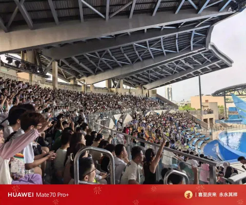 白鲸之恋1