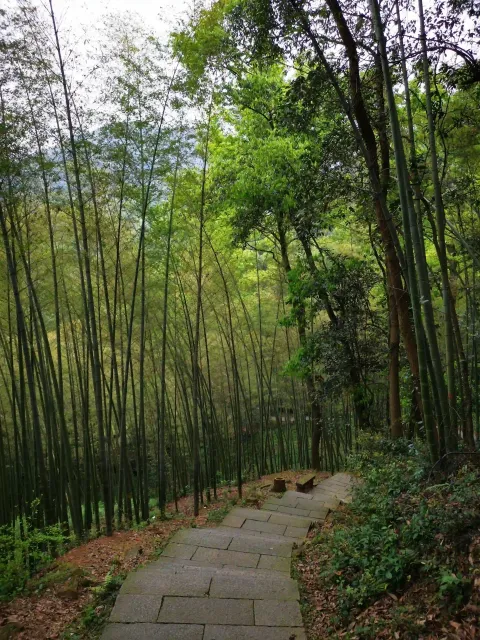 五云山63