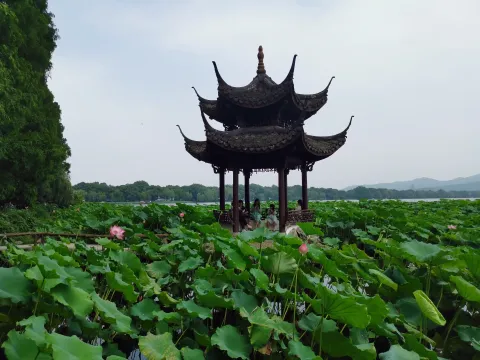 湛碧楼2