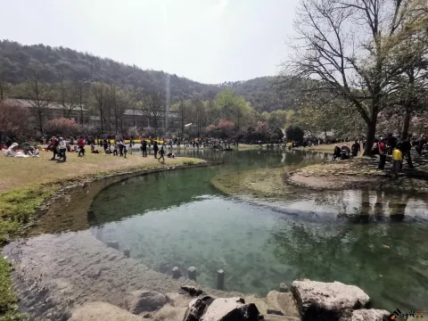 游玩太子湾公园的游人如潮