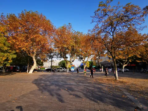 深秋，涌金门外