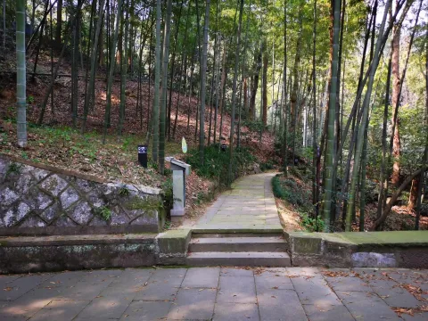 虎跑泉