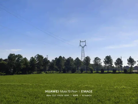城与田4