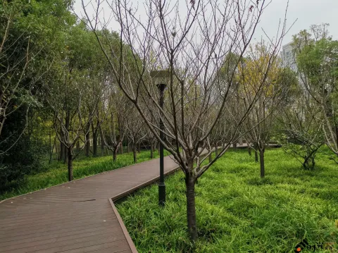 钱江南岸步行道