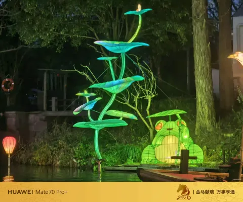 夜色中坐摇橹船赏灯15