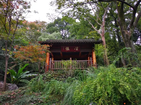 中国茶叶博物馆（龙井馆区）