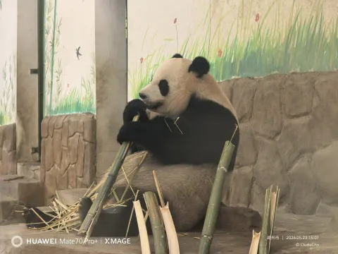 安吉中国竹子博览园12