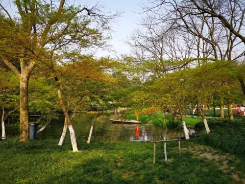 太子湾踏春19