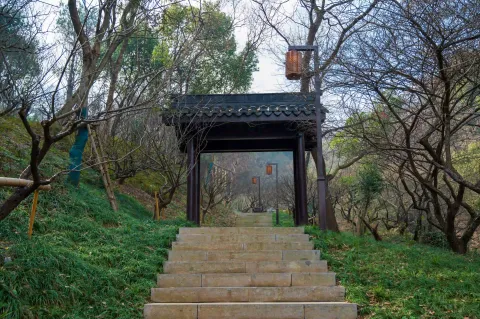 小梅山3