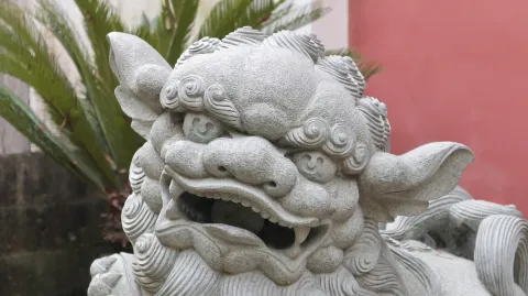 福星观7