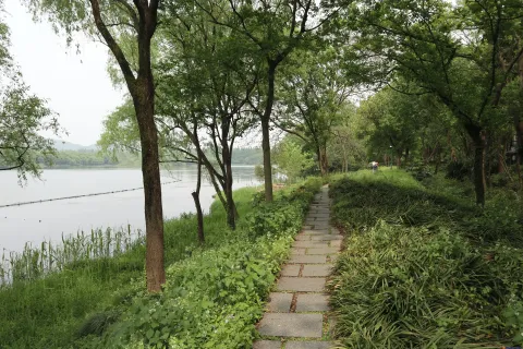 绿树丛中的走道