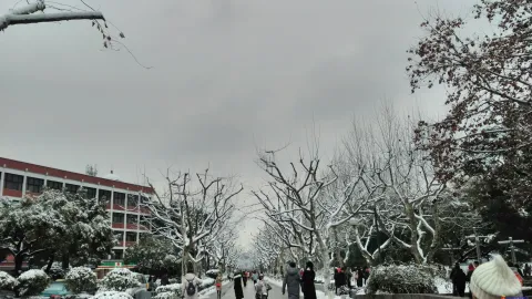 游西湖，观雪景