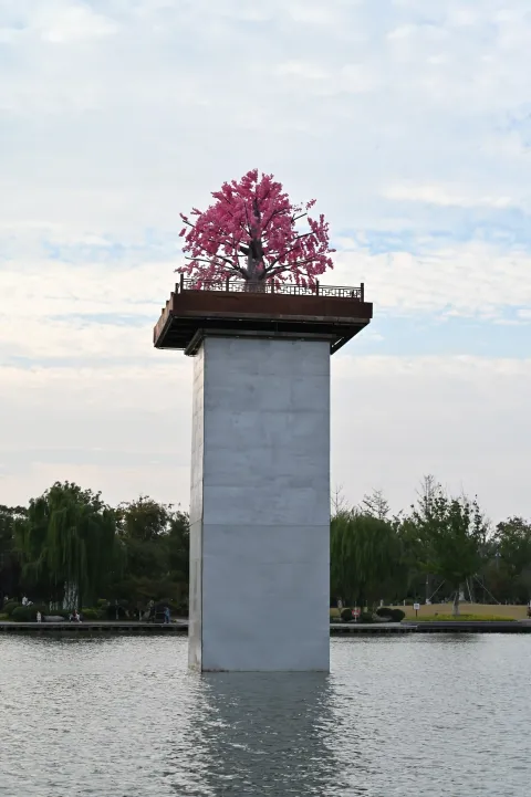 盐城，大洋湾3