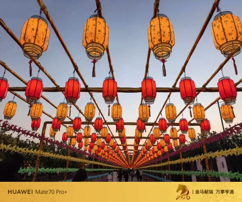玉环漩门湾农业观光园灯会2