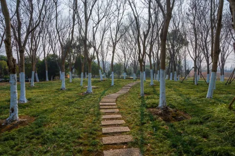 长田漾湿地公园3
