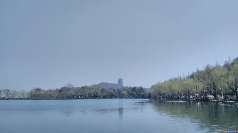 花港观鱼景色