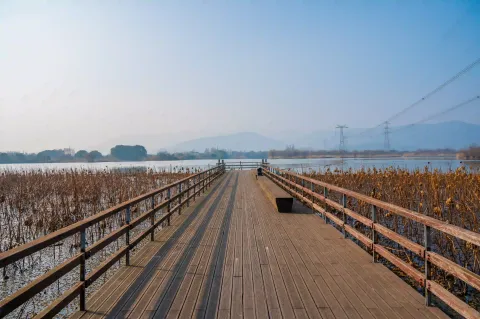 长田漾湿地公园15