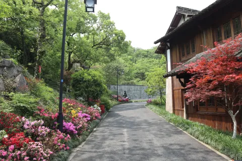 中国茶叶博物馆龙井馆区