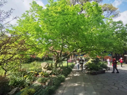 小瀛洲43