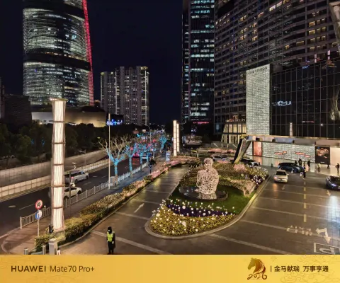 陆家嘴的夜景7