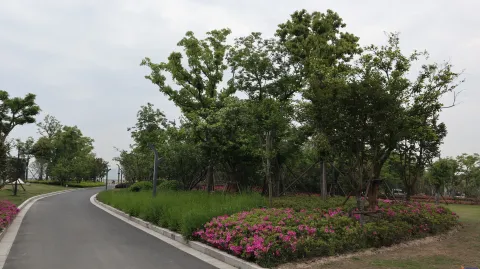 钱江世纪公园