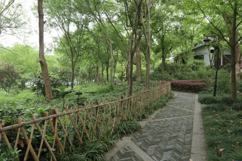 绿树丛中的走道