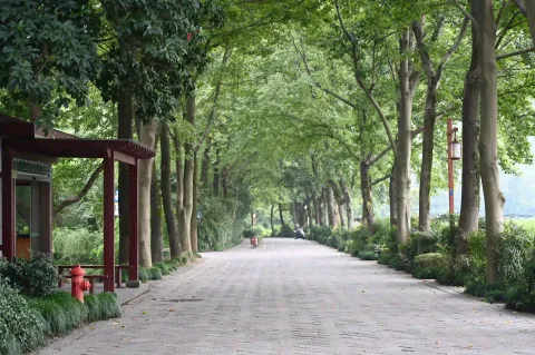 杭州中国茶叶博物馆馆区景色17