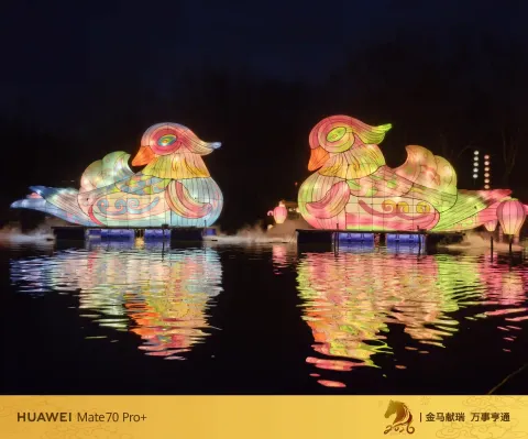 夜色中坐摇橹船赏灯24