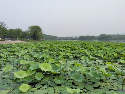 长田漾湿地公园9