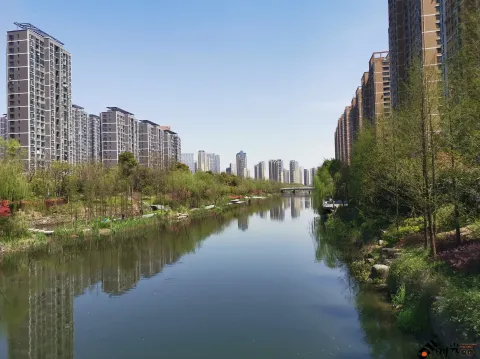 不一样的小河景致